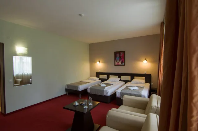 غرفة قياسية بسرير مزدوج أو سريرين منفصلين بشرفة، Pak Hotel Arbanassi 4/6