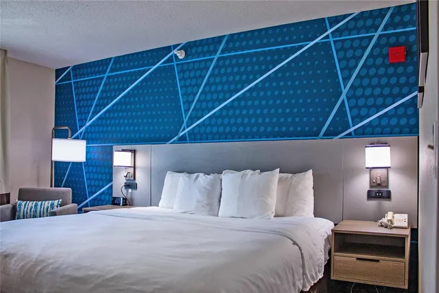 غرفة بسرير كينج لذوي الإعاقة، Comfort Inn & Suites Geneva - West Chicago 2/7
