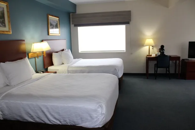 جناح بسريرين كوين، Reston Inn & Suites 3/10
