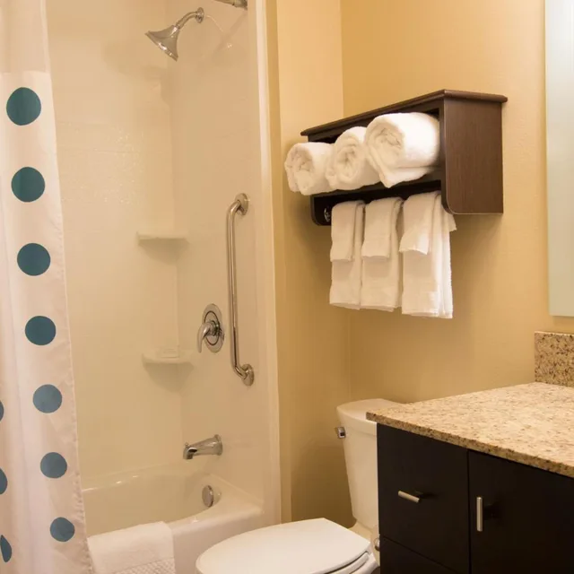 Studio, Queen Bed, TownePlace Suites Lincoln North 4/8