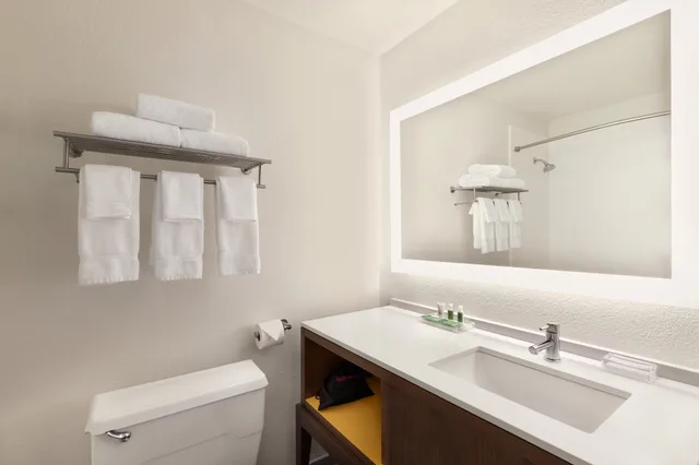 غرفة قياسية، Holiday Inn Houston Intercontinental Airport 4/4
