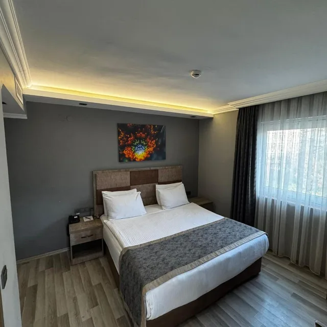 غرفة سوبيريور بسرير مزدوج، Ankara Royal Hotel 1/10