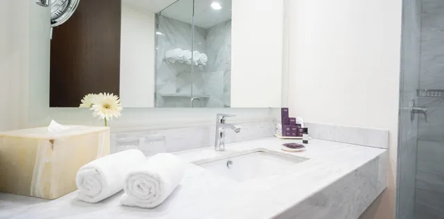 غرفة مزدوجة تنفيذية، Hs Hotsson Hotel Queretaro 5/5