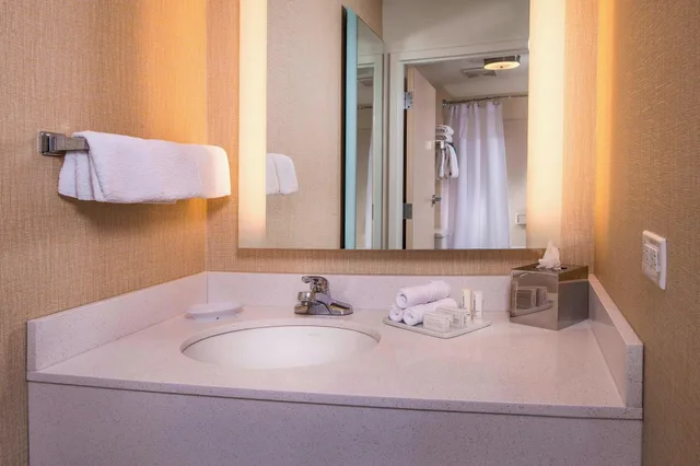 Suite, King Bed, SpringHill Suites Gaithersburg 3/3
