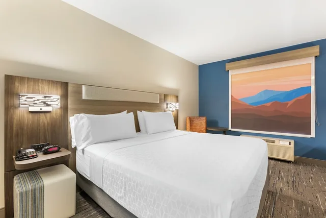 غرفة قياسية بسرير كينج، Holiday Inn Express Hotel And Suites Belgrade 2/9