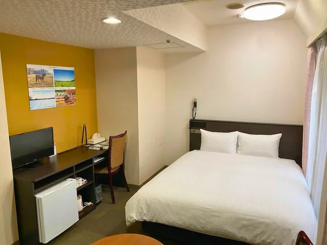 غرفة سوبيريور بسرير كوين، HOTEL CONTINENTAL 1/6
