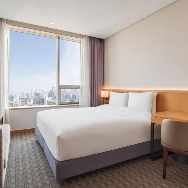 غرفة ديلوكس بسرير كينج في طابق مرتفع، Sotetsu Hotels The Splaisir Seoul Dongdaemun 3/9