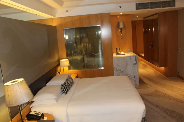 غرفة بسرير كينج، HYATT REGENCY GURGAON 1/4