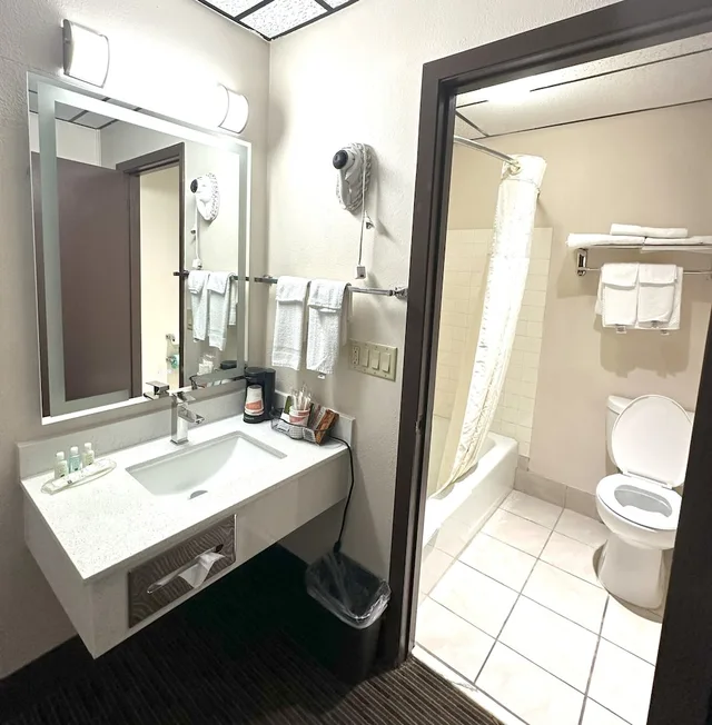 Standard, King Bed, Ground Floor, Accessible, Wyndham Garden Salina Conference Center 2/6