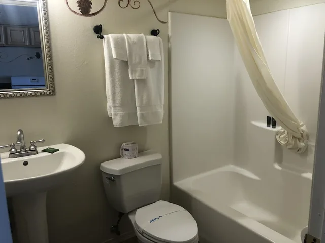 1 Bedroom, Family Suite, Futon Bed, King Bed, Hot Tub, Fireside Lodge 2/2