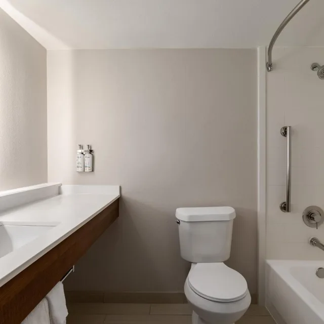 غرفة ديلوكس بسرير كينج لذوي الإعاقة، Holiday Inn Express Hotel Suites Mesquite 2/6