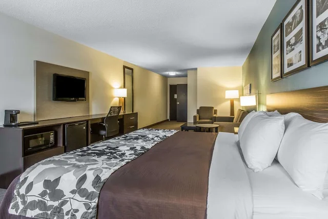 Suite, King Bed, Accessible, Sleep Inn & Suites Clintwood 3/3