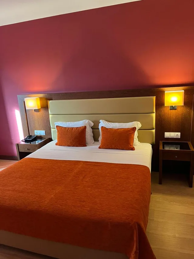 غرفة قياسية بسرير مزدوج، Palace Hotel & Spa Termas Do Bicanho 5/5