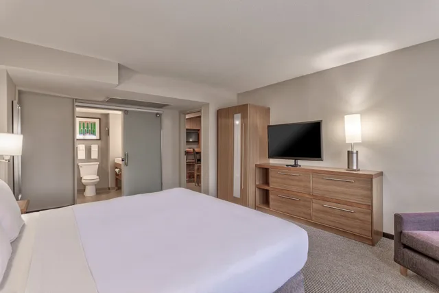 1 Bedroom, Suite, King Bed, Sofa, Hyatt Place Minneapolis Downtown 1/4