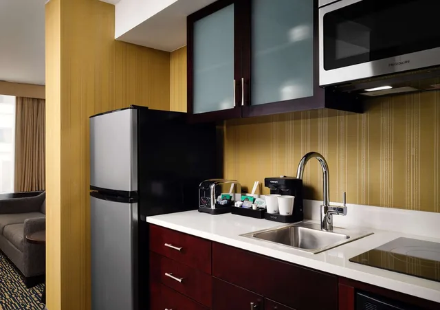 جناح بريميوم بسرير كينج بإطلالة على المدينة، Homewood Suites By Hilton Chicago Downtown/Magnificent Mile 2/2
