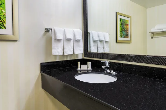 غرفة بسريرين كوين لذوي الإعاقة، Fairfield Inn Suites Buffalo Airport 4/6