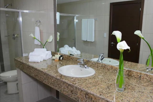 غرفة ديلوكس بسريرين مزدوجين، Victoria Hotel and Suites Panama 5/5