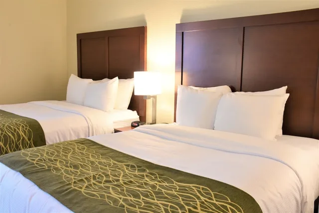 غرفة قياسية بسريرين كوين، Comfort Inn & Suites Rock Hill Northeast 9/10