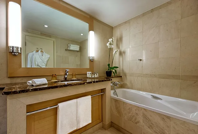 غرفة بسرير مزدوج بإطلالة على الجبل، Hyatt Regency Nice Palais de La Mediterrannee 5/6