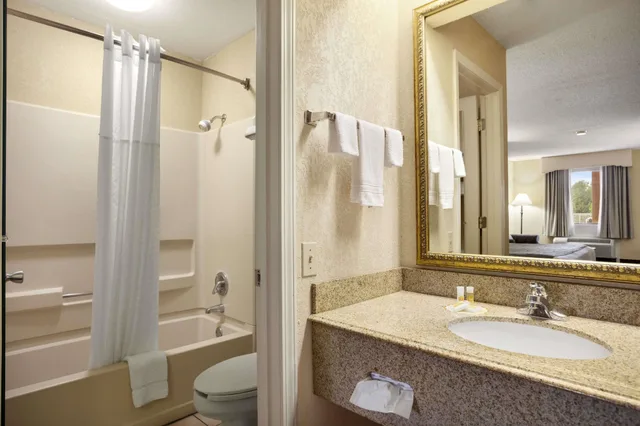 غرفة بزنس بسرير كينج، Days Inn & Suites by Wyndham Stuttgart 2/2