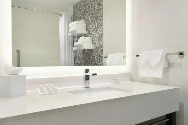 جناح تنفيذي ركني بسرير كينج، Hilton Garden Inn Calgary Downtown 4/5