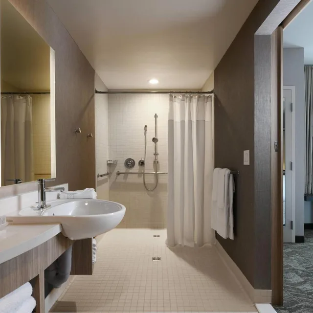 جناح بسرير كينج مع سرير سحّاب إضافي مع أريكة، Springhill Suites By Marriott Dallas Dfw Airport South/Centreport 5/6