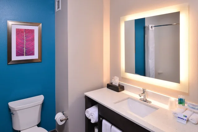 غرفة قياسية بسرير كينج لذوي الإعاقة، Holiday Inn Express Suites Bryant Benton Area 3/3
