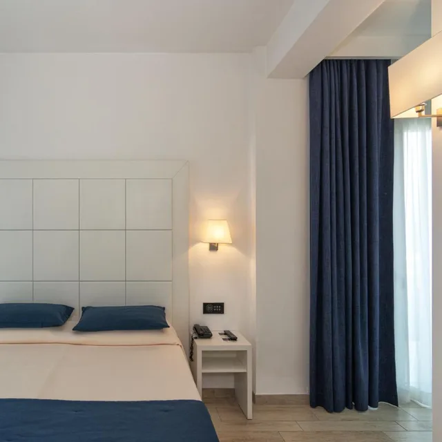 غرفة كلاسيكية بسرير مزدوج، Hotel Central Park 4/10