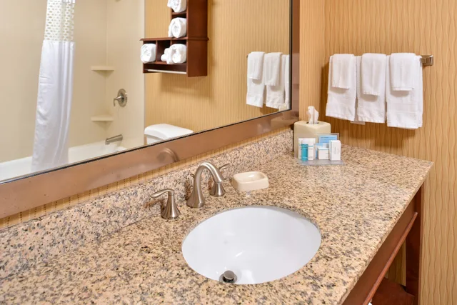 غرفة بسرير كينج، Hampton Inn Idaho Falls Airport 1/2