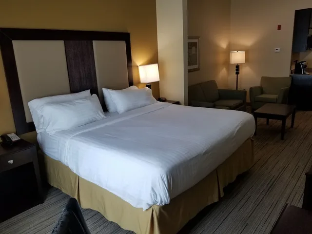 جناح بسريرين كوين لذوي الإعاقة، Holiday Inn Express Hotel And Suites Gulf Shores 3/6