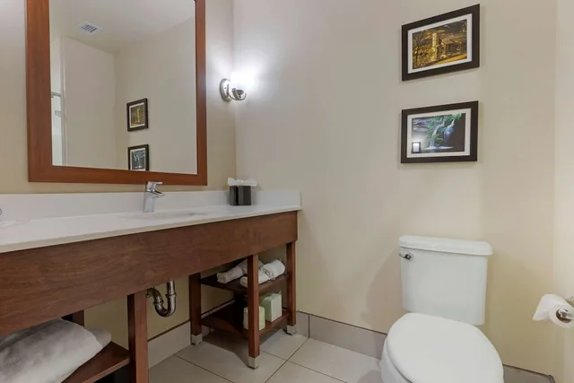 جناح بسرير كينج مع أريكة لذوي الإعاقة، Comfort Suites Piedmont - Greenville South 2/2