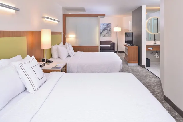 Suite, Multiple Beds, Accessible, Springhill Suites By Marriott 1/3