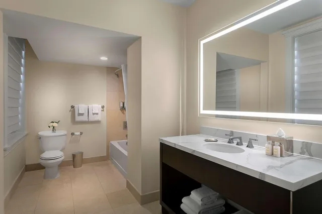 جناح بسرير كينج بغرفة نوم واحدة مع أريكة، The Chase Park Plaza Royal Sonesta St. Louis 1/1