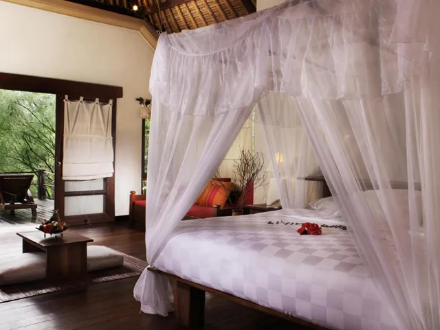 Mangrove, Suite, Double Bed, Sofa، Naya Gawana Resort Spa 2/4