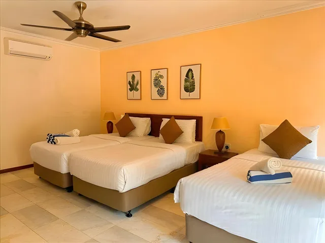 Deluxe, Triple, Frangipani 1/3