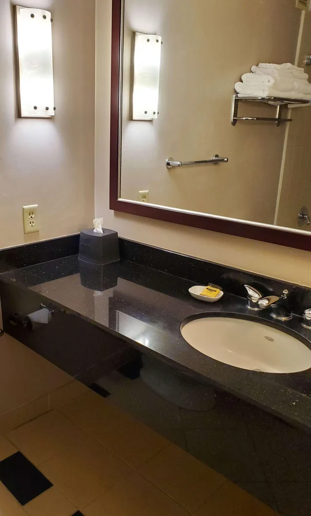 Garden, King Bed, Bathtub، Best Western Plus University Inn 4/4
