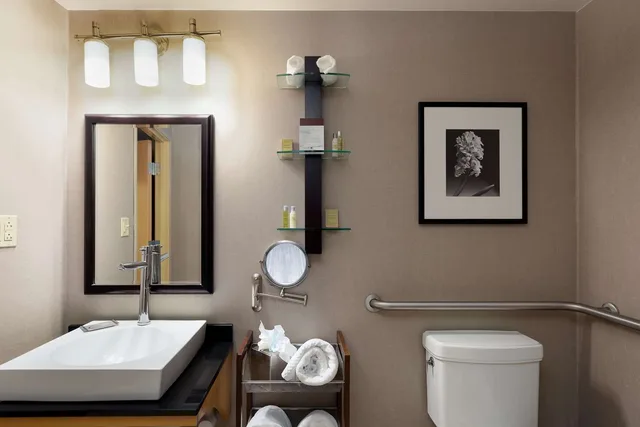 Studio, King Bed, Bathtub, Accessible, DoubleTree by Hilton Hotel Savannah Airport 8/10