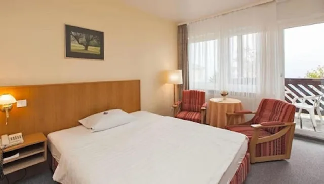 جناح عائلي، PANORAMA HOTEL OBERWIESENTHAL 1/1