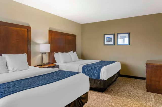 Suite, Multiple Beds، Comfort Inn Bozeman near University 1/3