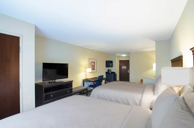 جناح بسرير كينج مع أريكة لذوي الإعاقة، Comfort Suites Mobile-South Alabama University Area 1/1
