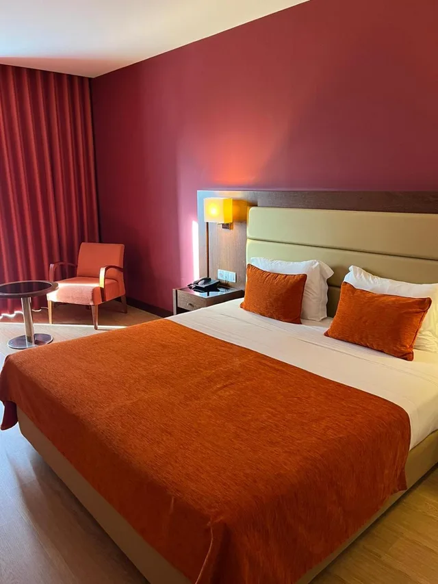 غرفة قياسية بسرير مزدوج، Palace Hotel & Spa Termas Do Bicanho 4/5