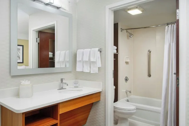 Executive, Studio, King Bed, Sofa, SPRINGHILL SUITES BY MARRIOTT CHICAGO ELMHURST/OAKBROOK AREA 3/4