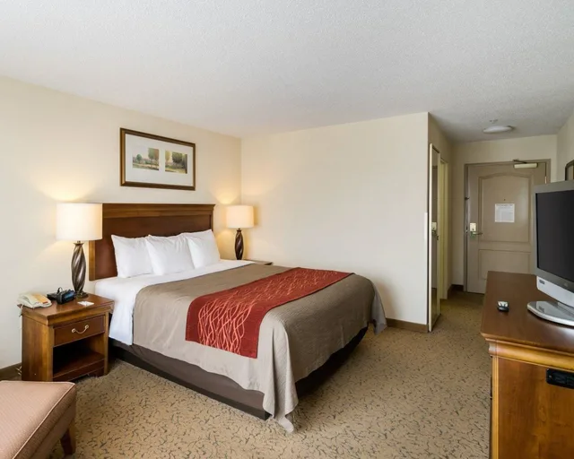 غرفة قياسية بسرير كينج، Comfort Inn & Suites Dover near Speedway 2/4