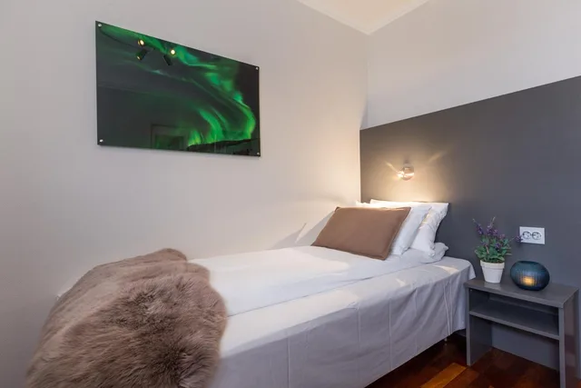 غرفة مفردة، Enter Viking Apartment 5/8