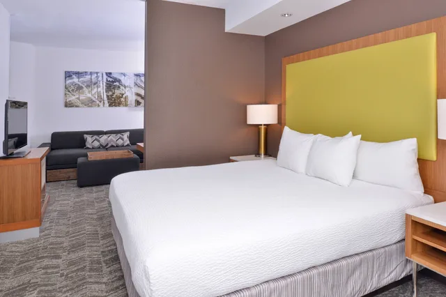 استوديو بسرير كينج مع أريكة لذوي الإعاقة، Springhill Suites By Marriott Fairfax Fair Oaks 1/2