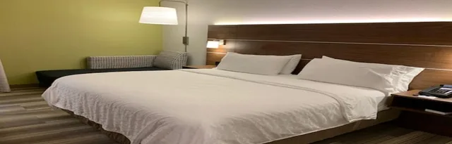 غرفة قياسية بسرير كينج لذوي الإعاقة، Holiday Inn Express Tampa-Brandon 2/3
