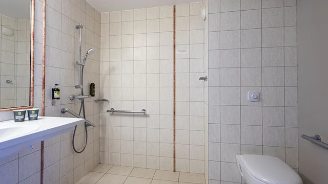 غرفة قياسية بسرير كوين لذوي الإعاقة، HOSTELLERIE D'AUSSOIS 4/4