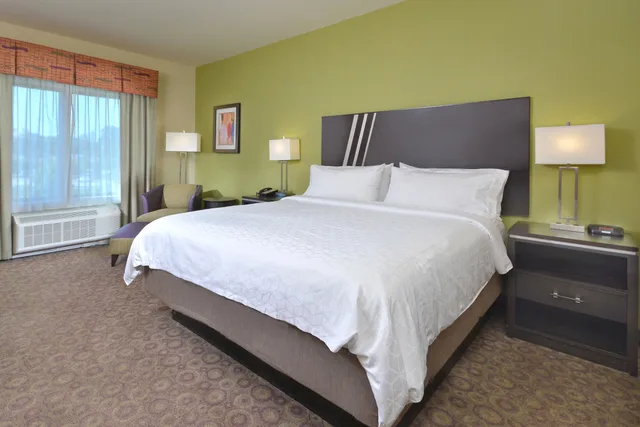 غرفة بسرير كينج لذوي الإعاقة، Holiday Inn Express & Suites Clemson - Univ Area 1/3