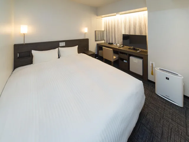 غرفة ديلوكس بسرير كوين، Sotetsu Fresa Inn Ochanomizu-Jimbocho 1/1