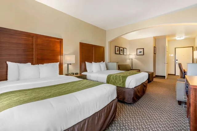 جناح مع أريكة، Comfort Inn & Suites Galt Lodi North 2/6